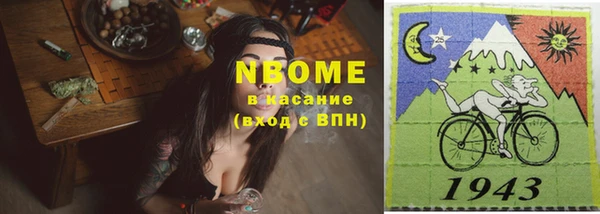 гидра Няндома