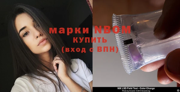 гидра Няндома