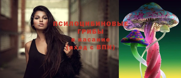 гидра Няндома