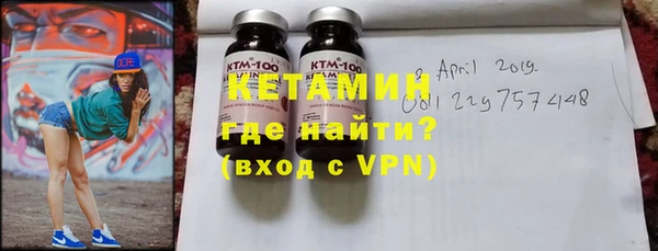 гидра Няндома