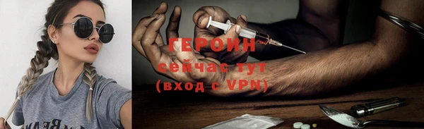 гидра Няндома