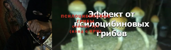 стафф Нязепетровск