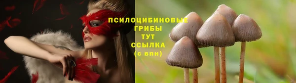стафф Нязепетровск