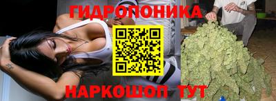 каннабис Будённовск