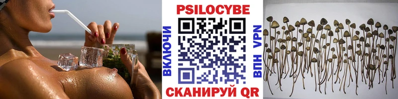 гидра вход  Котовск  Галлюциногенные грибы прущие грибы 