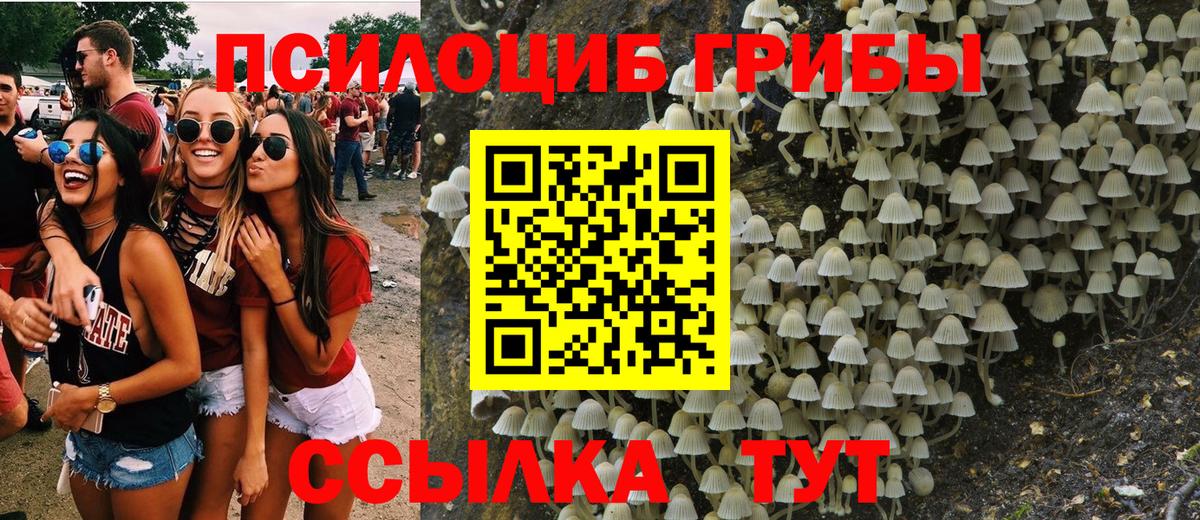 Галлюциногенные грибы мухоморы  хочу   Котовск  Галлюциногенные грибы Psilocybe 